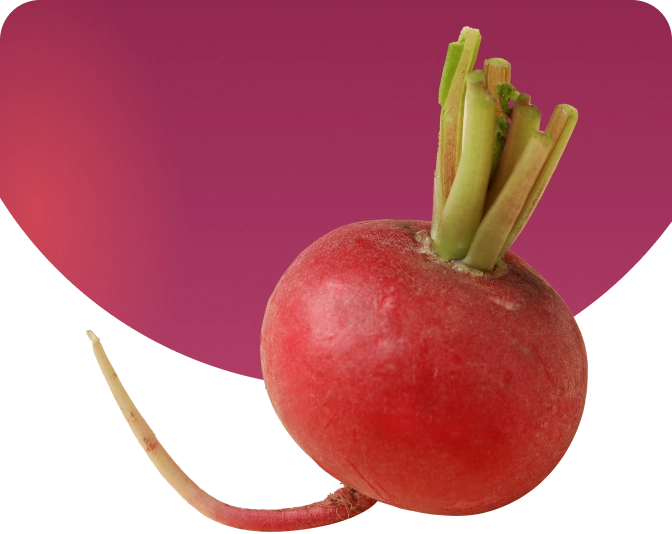Imagen fermentados